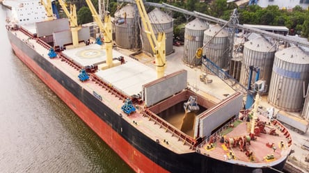 Возобновление зернового соглашения должно быть без участия РФ, — спикер ВМС Плетенчук - 285x160