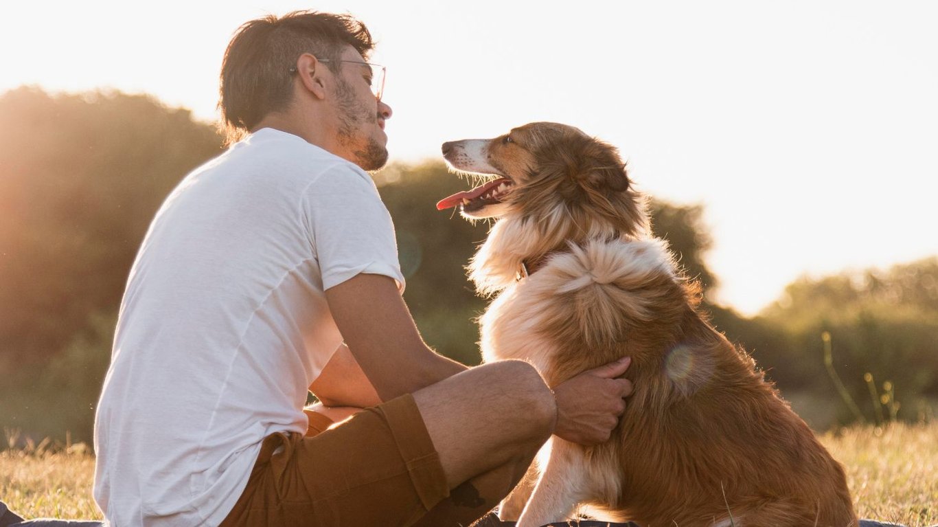 мастерзу товари для тварин 