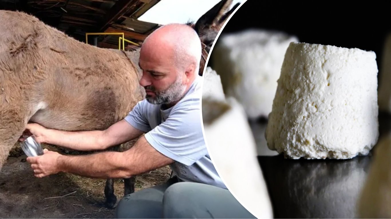 Який сир найдорожчий у світі і в чому його ексклюзивність