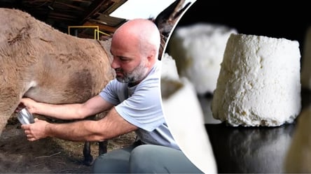 Найдорожчий сир світу: скільки він коштує та де знайти - 290x160