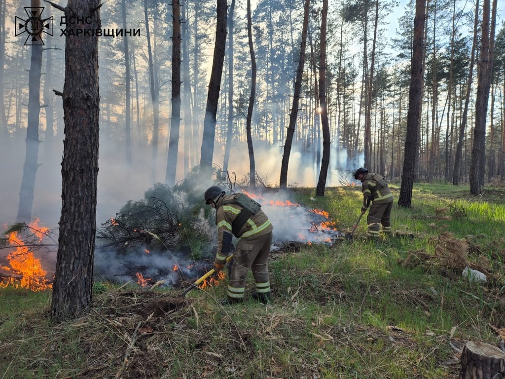 Из-за российских обстрелов горят леса — в ГСЧС показали огненные кадры - фото 3