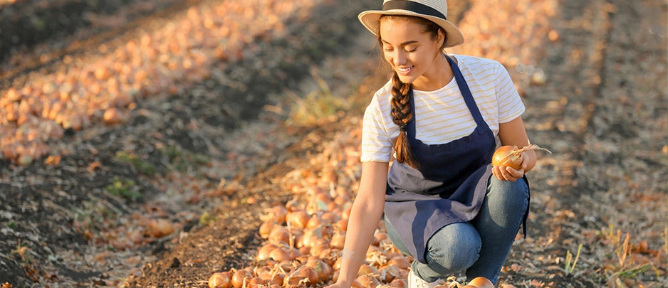 Яке народне свято 4 вересня 2025