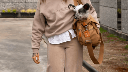 Штани, що підняли планку — наймодніша альтернатива деніму - 285x160