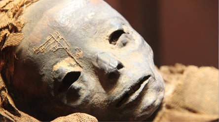 У Єгипті знайшли гробницю фараонів із найстарішою мумією в історії: деталі - 285x160