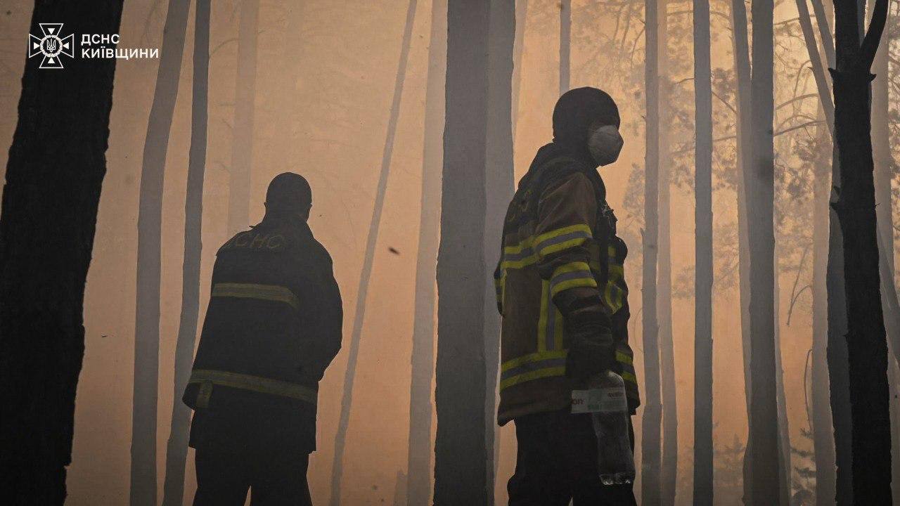 Лісова пожежа в Чорнобильській зоні 8 травня
