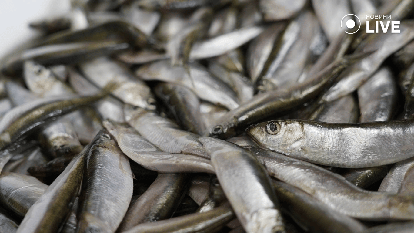 Риба на прилавках Привозу