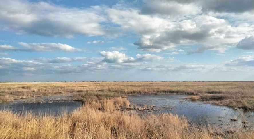 Оаза в "Тузловских лиманах"