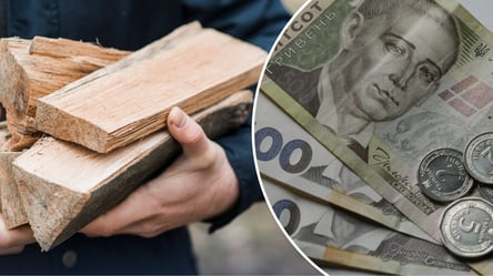 Субсидія на дрова у 19 400 грн — за який період врахують доходи - 285x160