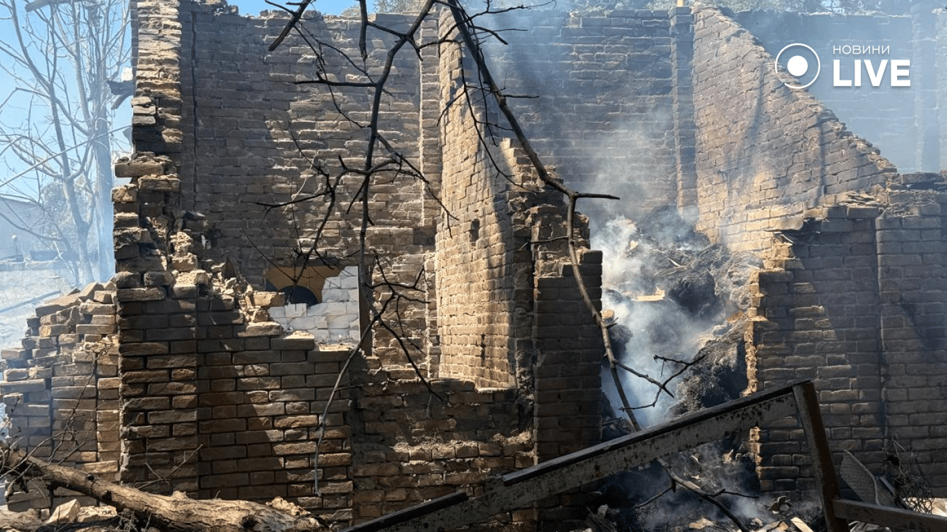 Загиблий кінь та знищене майно — наслідки обстрілу Одеси - фото 8