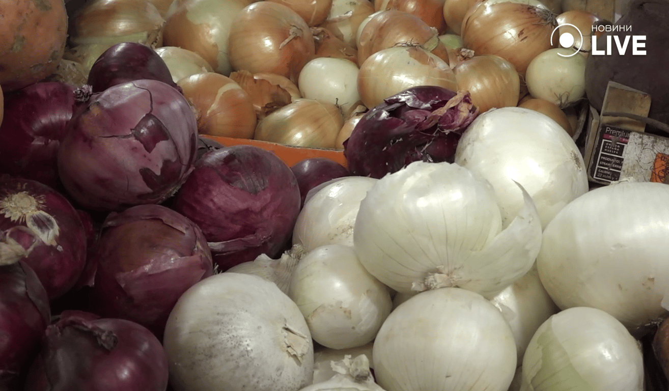 Цибуля овочі