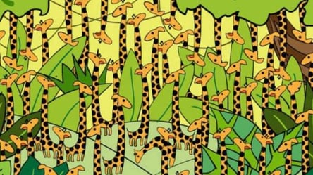 Оптична головоломка — люди з високим IQ помітять змію серед жирафів за 11 секунд - 285x160