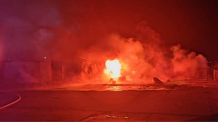 Нічна атака на Одещину: пошкоджено порт та заповідник - 304x171