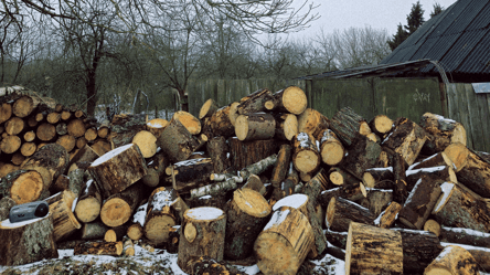 Чи можна рубати на дрова дерева біля свого будинку у 2026 році - 285x160