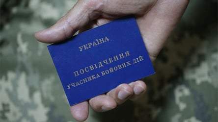 УБД автоматично: що робити, якщо статус не надали - 290x166
