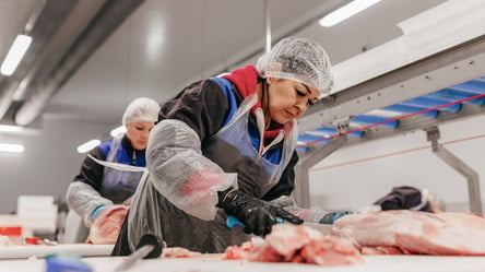 Зарплата до 850 евро — вакансия на мясокомбинате в Литве - 285x160