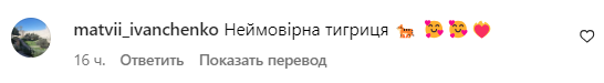 Коментар зі сторінки Анни Трінчер