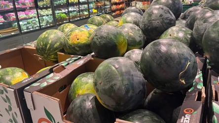 В Украине упали цены на популярный сезонный продукт — где дешевле - 285x160