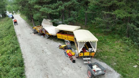 У Швейцарії карета з туристами потрапила в смертельну ДТП - 290x166