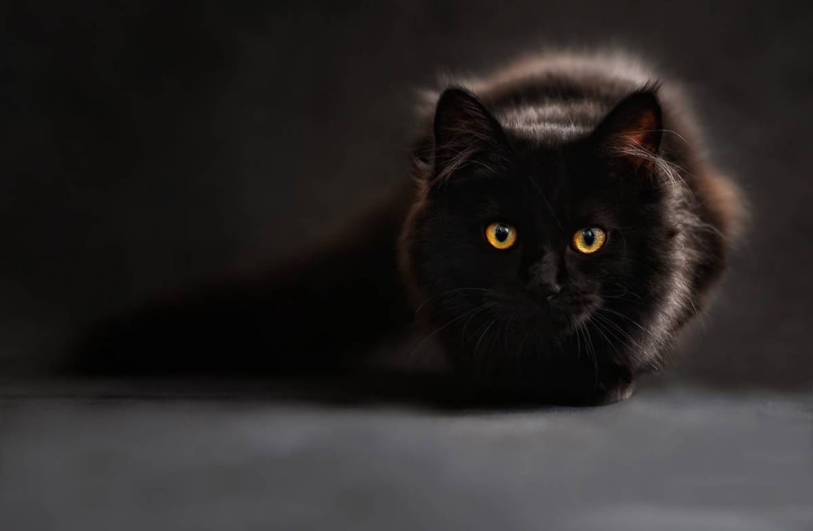 Про що говорить ваш улюблений колір — чорний