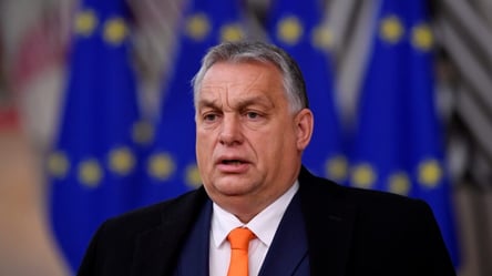 Стало відомо про корупційну змову в уряді Орбана — подробиці - 285x160