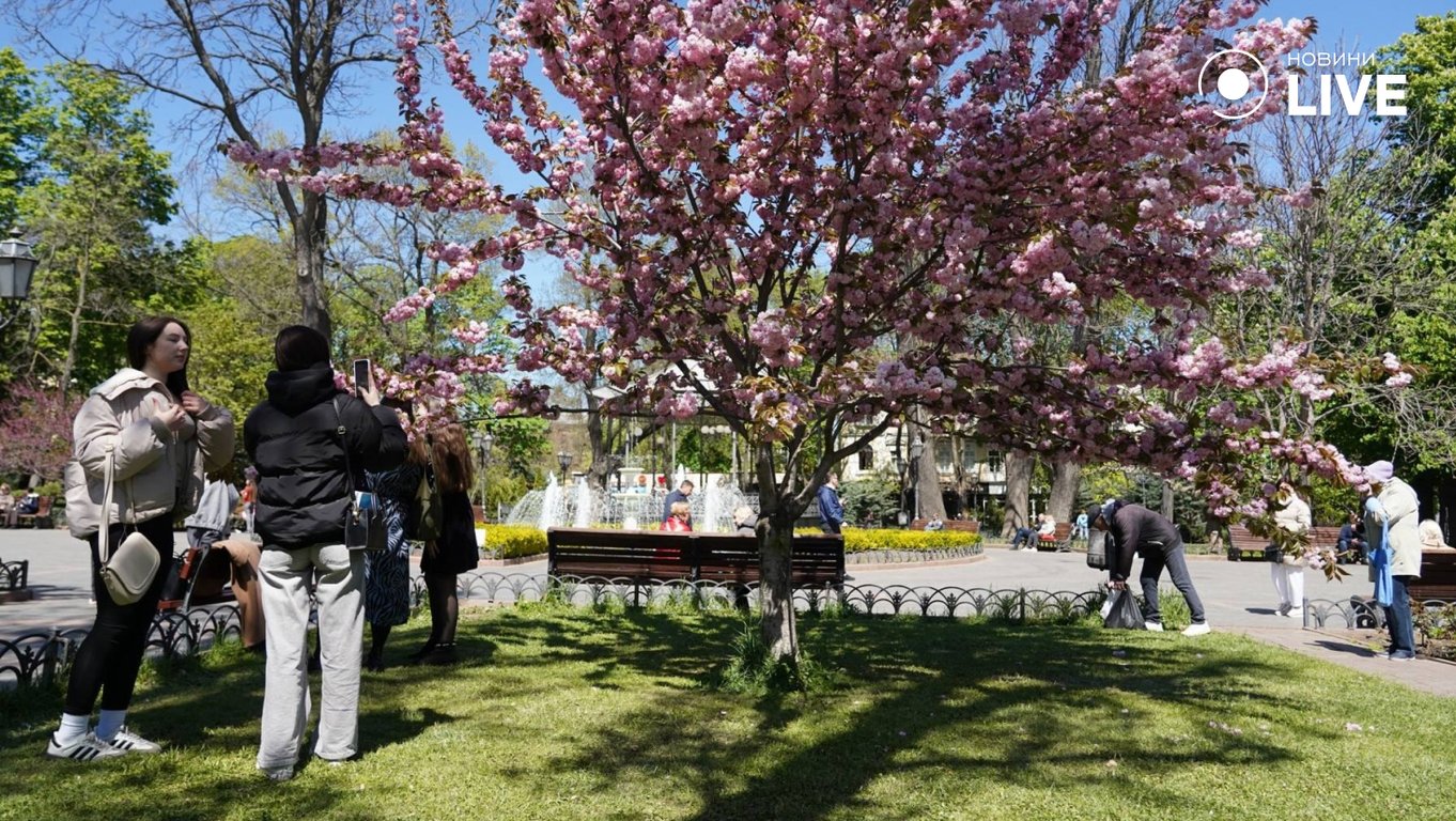 Одесу накрила справжня весна