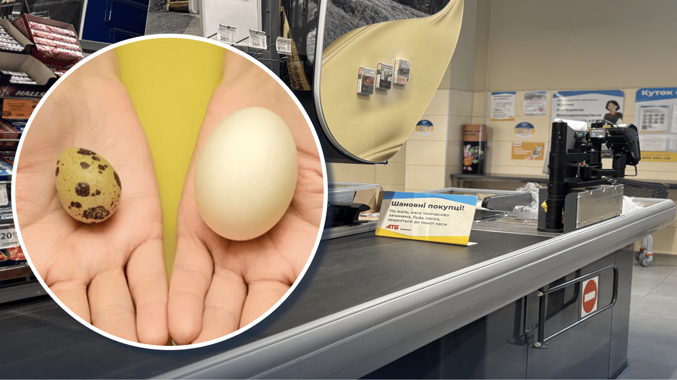 Способы, как выбрать перепелиные яйца и на какие признаки обращать внимание