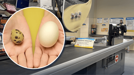 Как выбрать перепелиные яйца и на что смотреть перед покупкой - 285x160