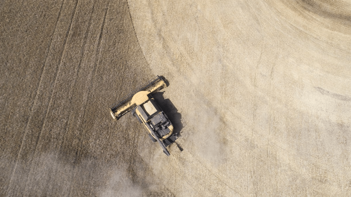 Ціни на ячмінь у листопаді — скільки треба віддати за тонну