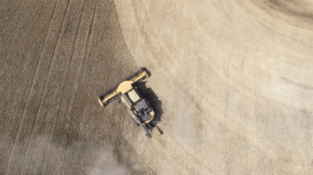 Ціни на ячмінь у листопаді — скільки треба віддати за тонну - 285x160