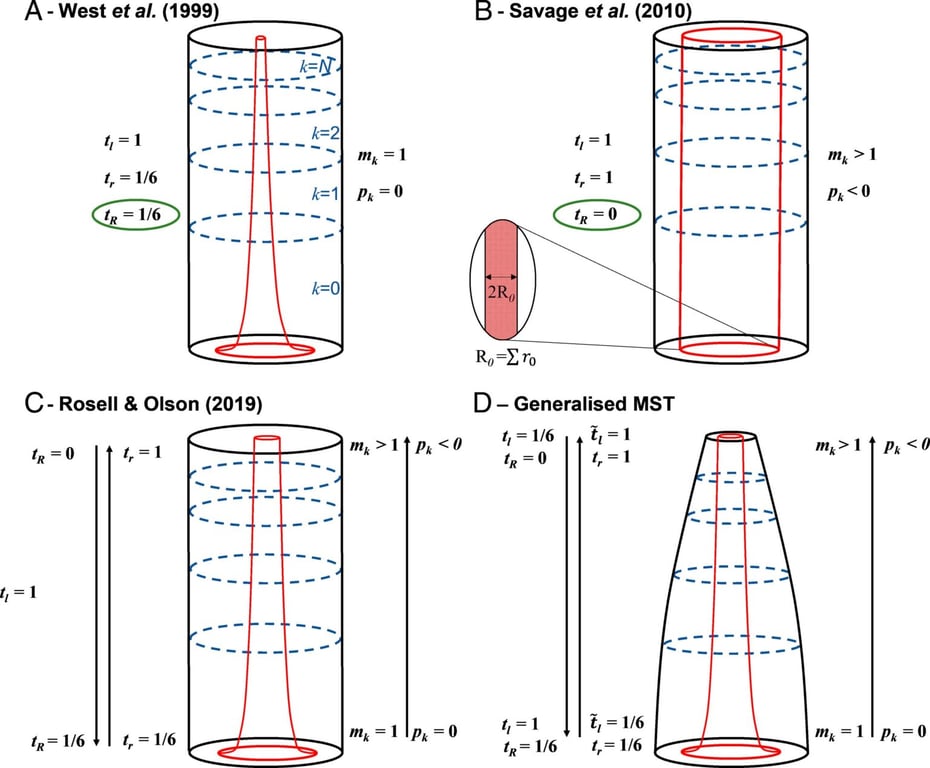 Що не так з "Правилом дерев" да Вінчі