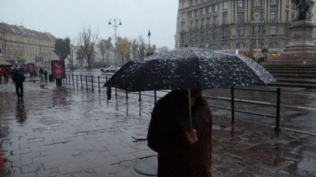 Львівські синоптики розповіли, чи очікувати першого снігу в місті - 285x160