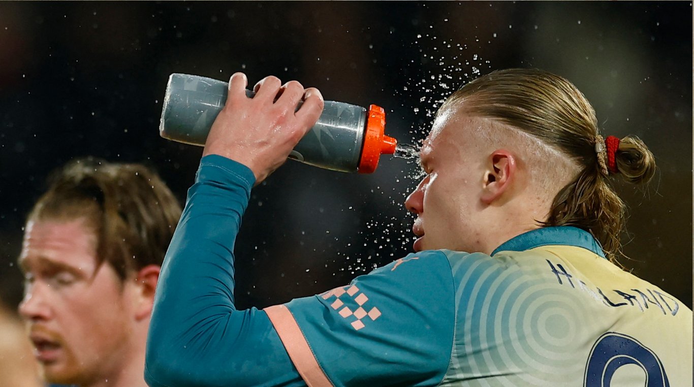 Ерлінг Холанн