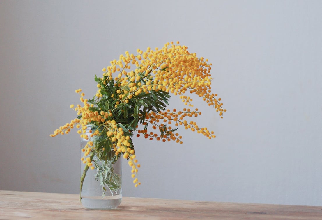 Букет мимоз