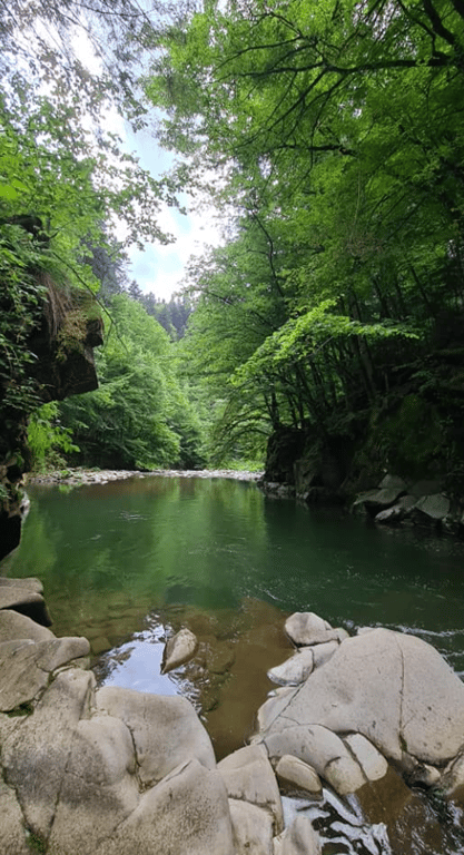 Захована серед скель і лісів — унікальна лагуна на Закарпатті - фото 1