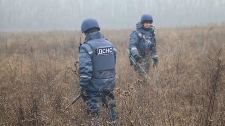 На Харьковщине во время разминирования погиб пиротехник - 285x160