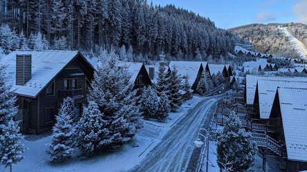 Житло в Буковелі на Новий рік — яка мінімальна і максимальна ціна - 285x160