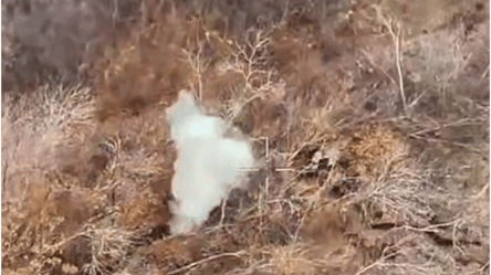 Ukrainian fighters showed footage of strikes on the occupiers - 285x160