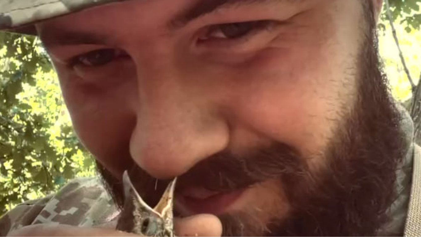 Украинский пограничник спас птенца, выпавшего из гнезда: трогательное видео