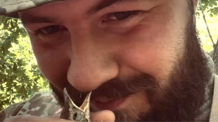 Український прикордонник врятував пташеня, яке випало з гнізда: зворушливе відео - 285x160