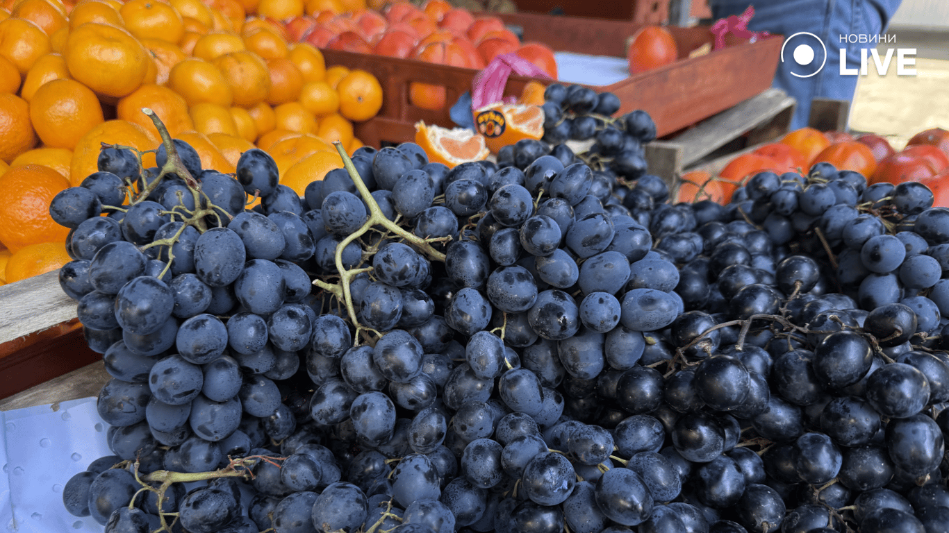 Грони темного винограду