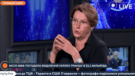 Нардеп заявила, что Украина будет постепенно идти к курсу доллара по 50 гривен - 285x160