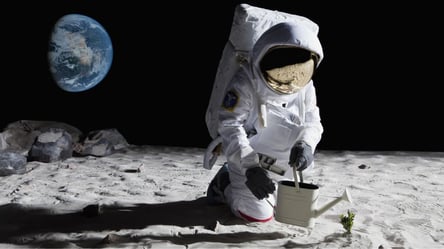 На Луне взошел хлопок — ученые рассказали детали удачного эксперимента - 285x160