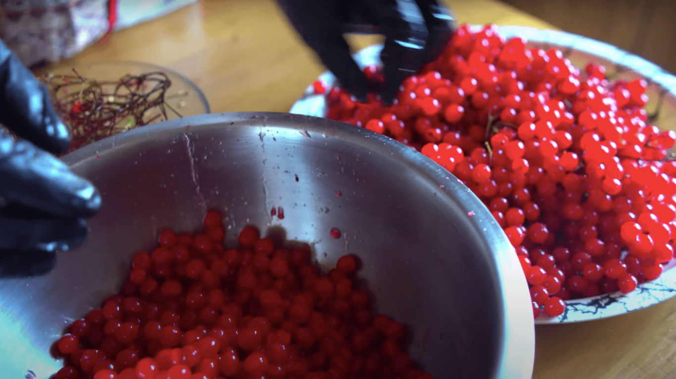 калина на зиму