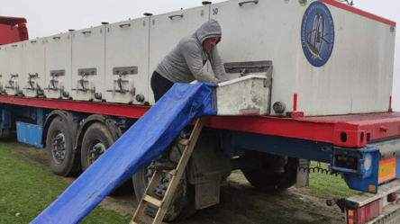 Рыбы на Одесчине станет больше — начат процесс зарыбления - 290x166