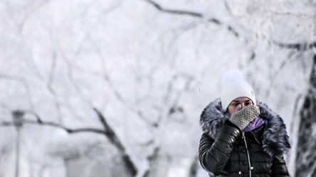 Украину накроют морозы — в Гидрометцентре рассказали, где ждать -20 уже к концу недели - 285x160