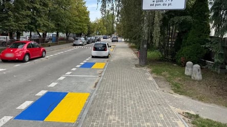 Скандал у Польщі: синьо-жовта парковка обурила місцевих мешканців - 290x160
