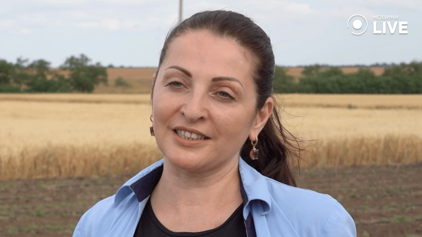 Алла Стоянова про вибагливу бавовну