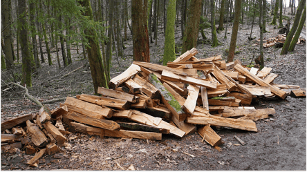 Дрова для отопления — где можно законно заготавливать топливо - 285x160