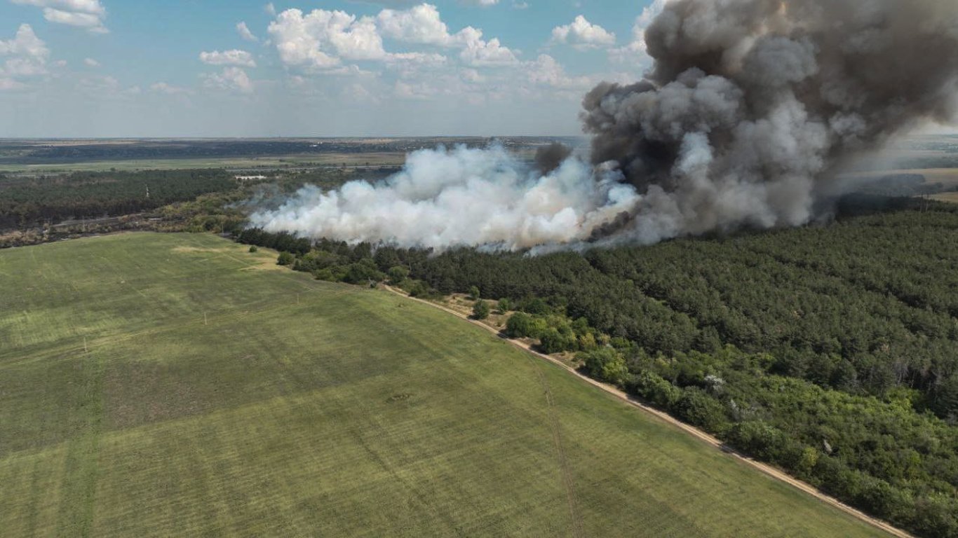 Екологи порахували наслідки пожеж на Миколаївщині