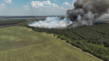 Мільйонні збитки: екологи порахували наслідки пожеж на Миколаївщині - 285x160